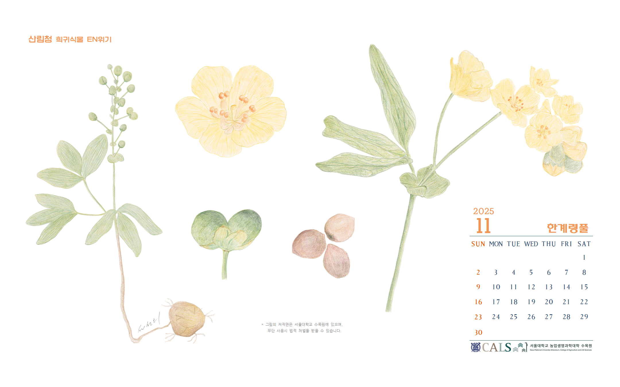 바탕화면 2025년 11월 (Mac) 한계령풀