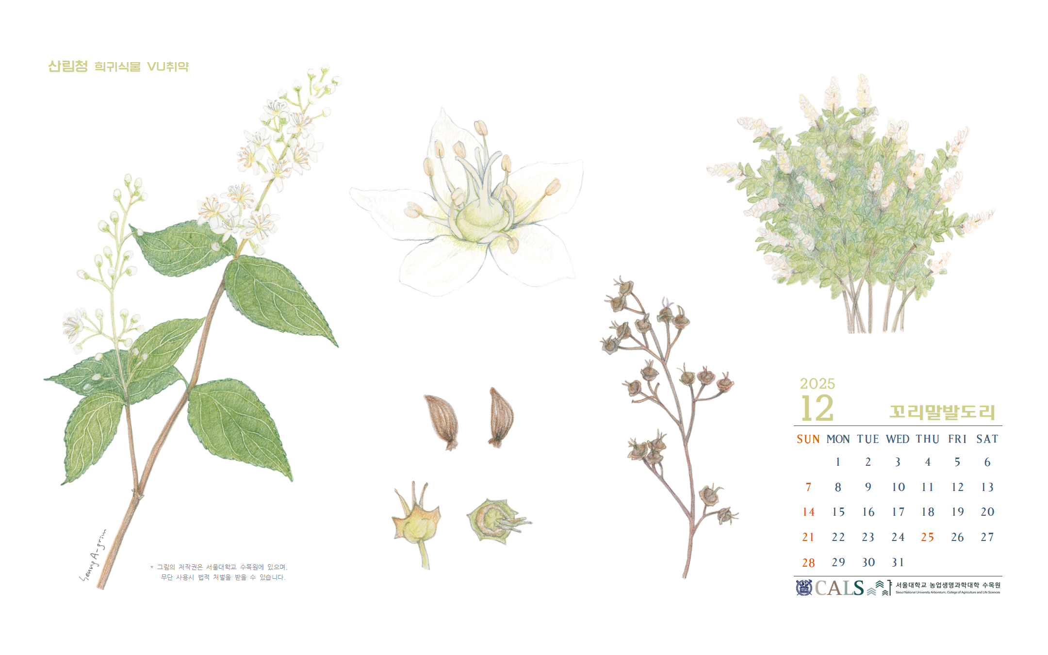 바탕화면 2025년 12월 (Mac) 꼬리말발도리